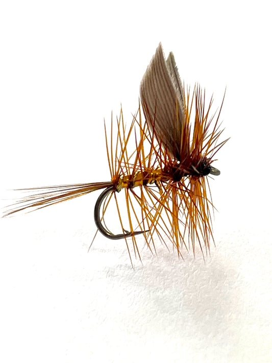 Wickhams Fancy #14