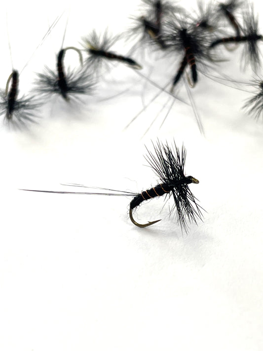 Black Spinner