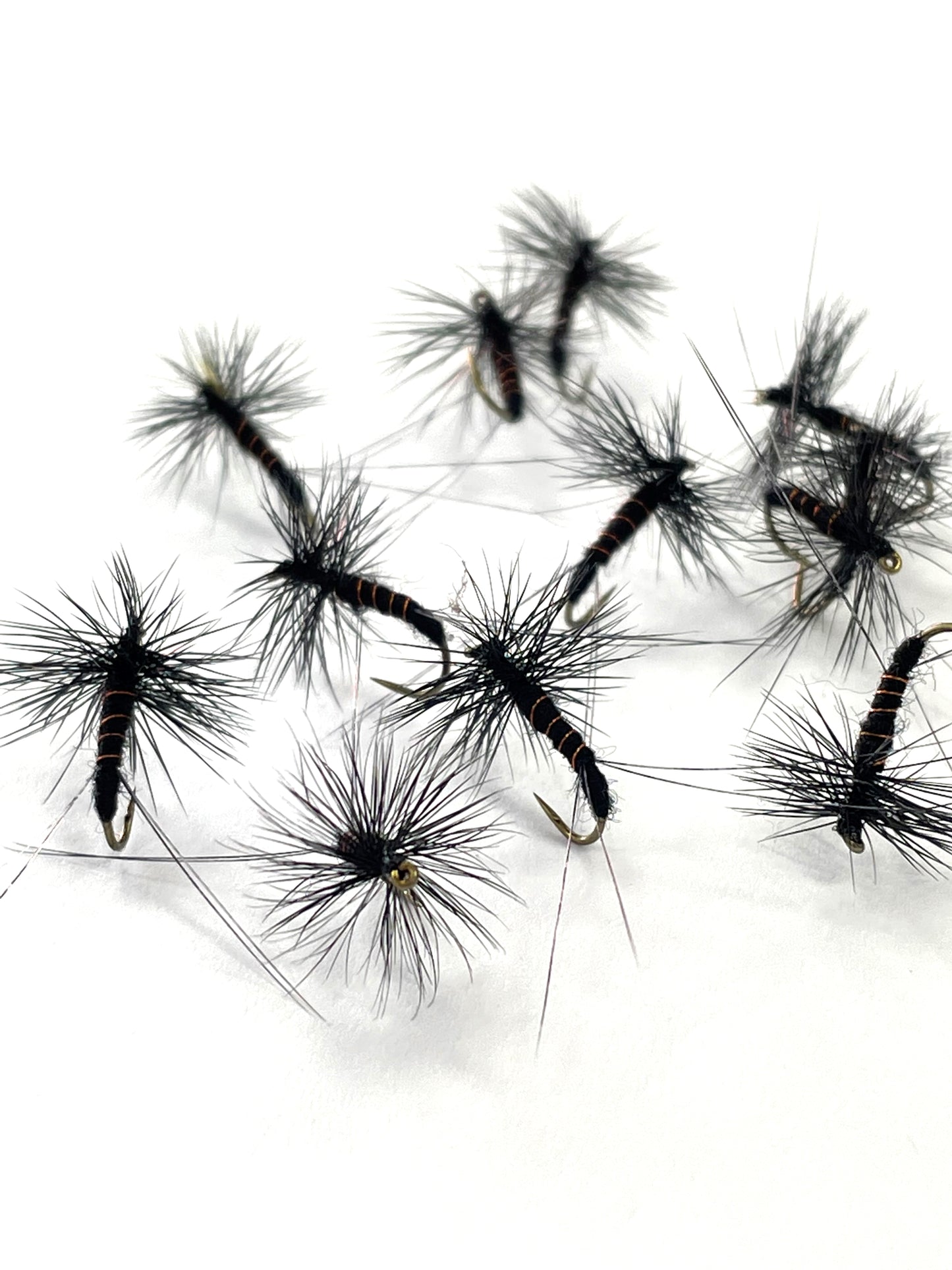 Black Spinner