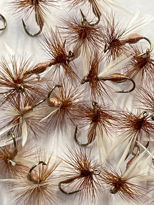 Ant - Brown