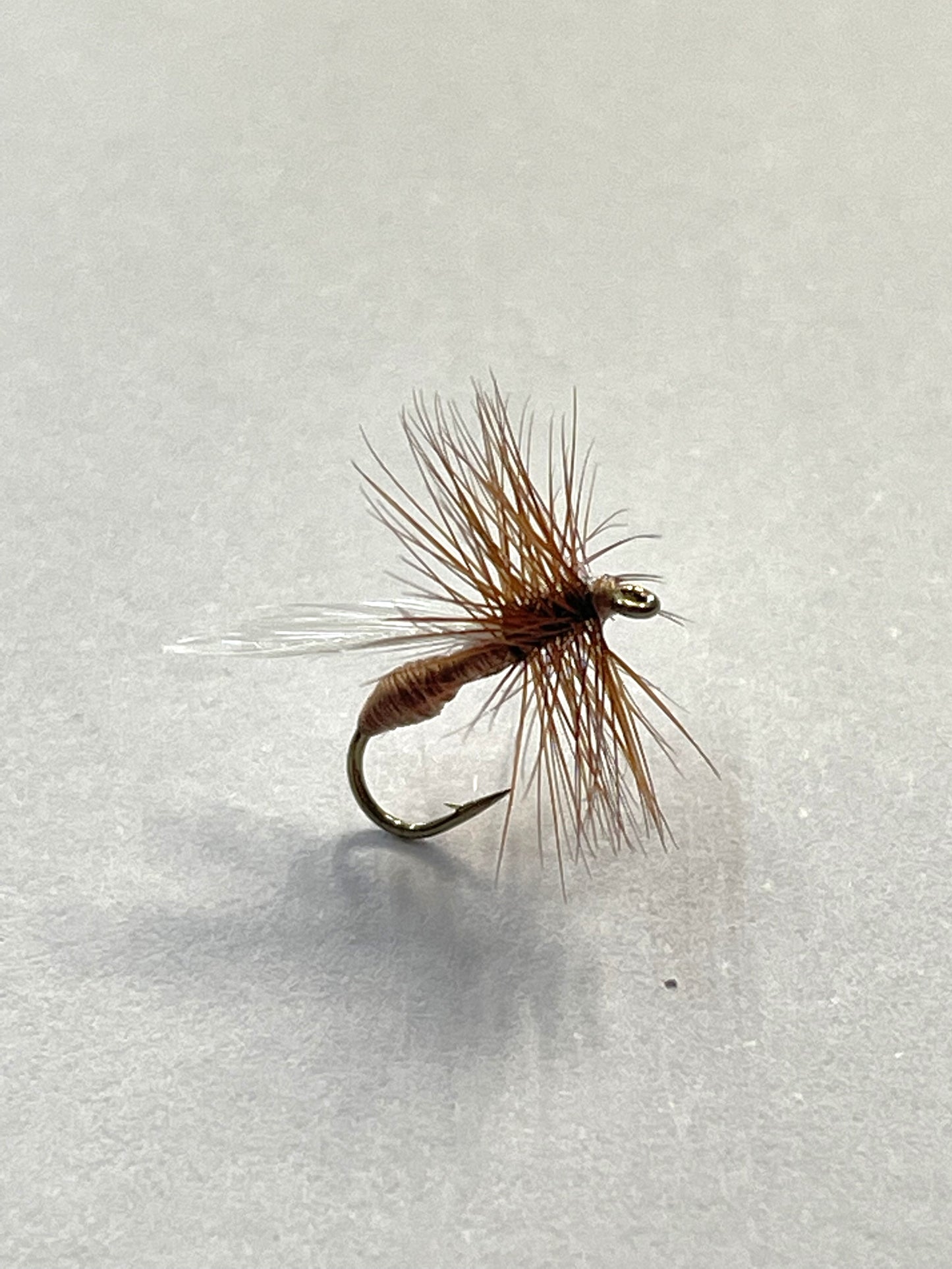 Ant - Brown