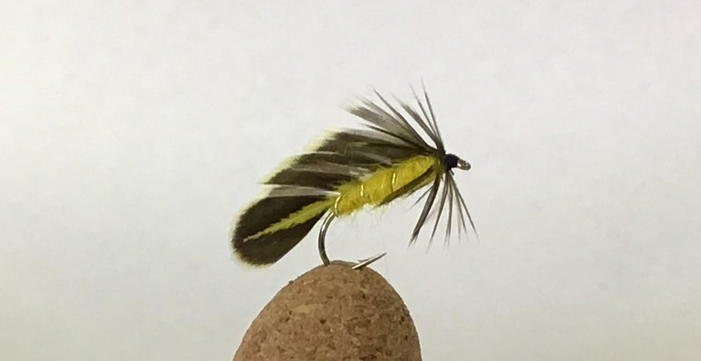 Matuka - Yellow