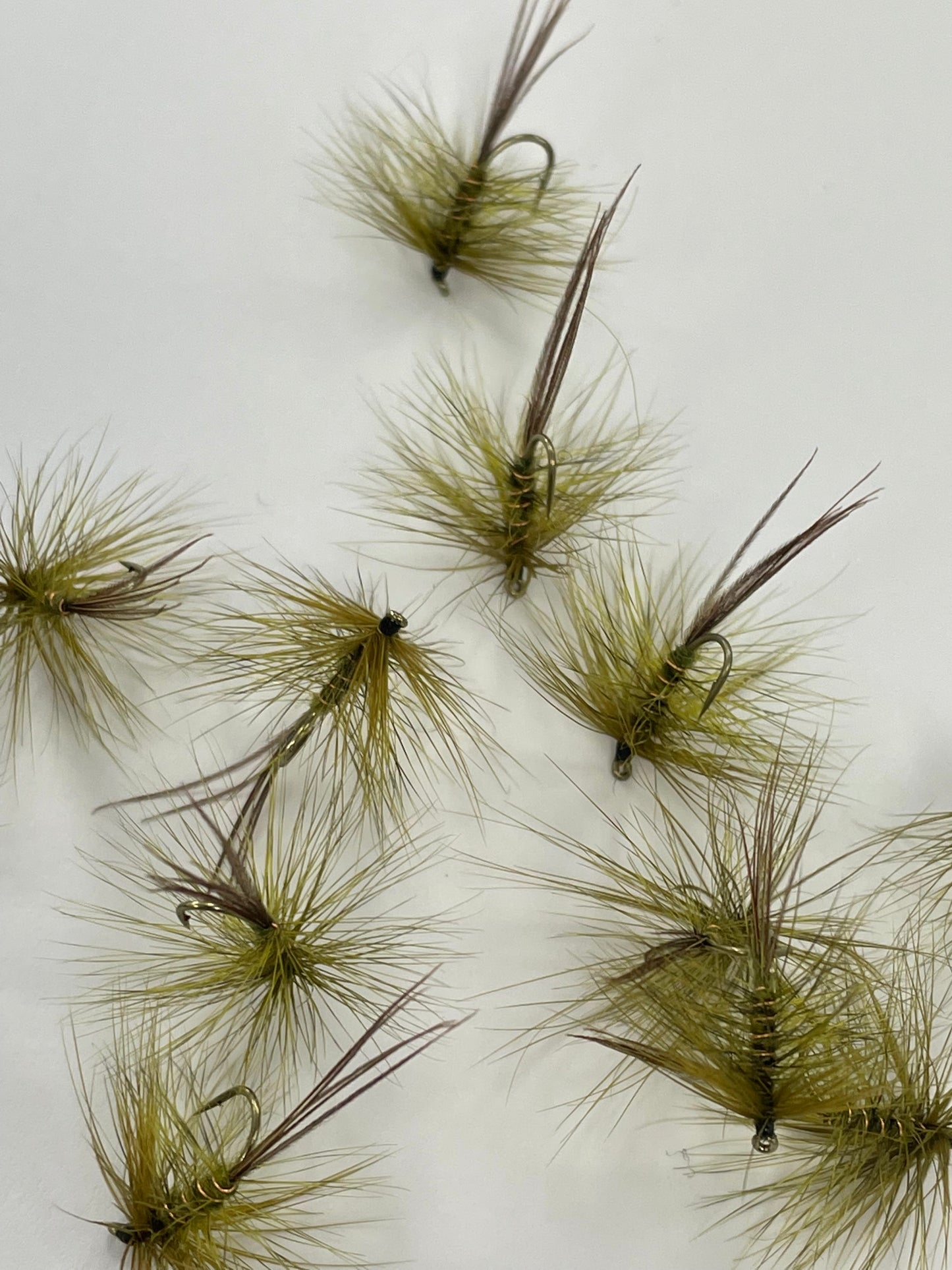 Dabbler - Olive #12