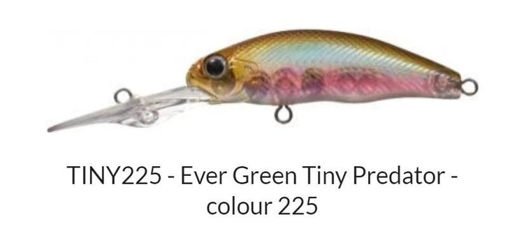 Evergreen Tiny Predator