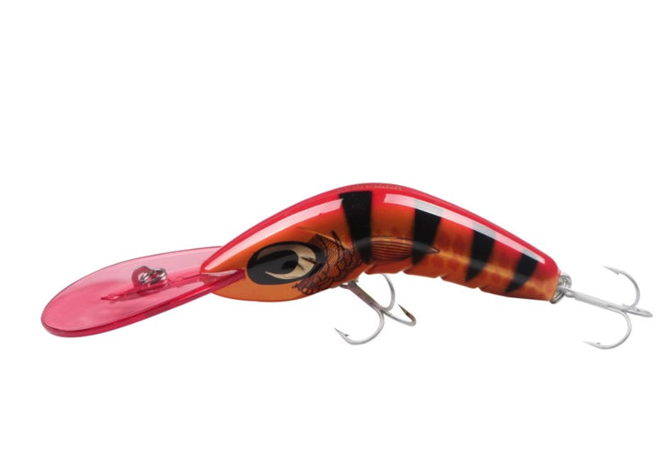 Deep Diving Rattler