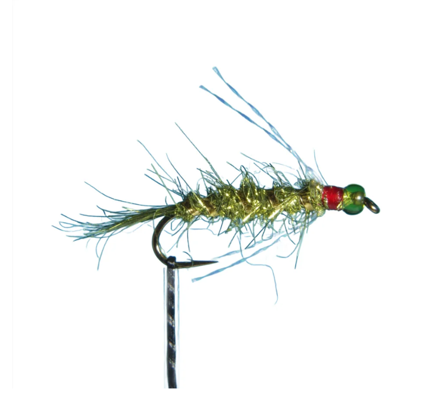 BMS Olive