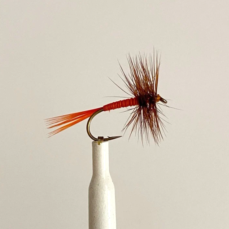 Orange Spinner Size 16