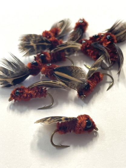 Spider Mudeye - Size #8