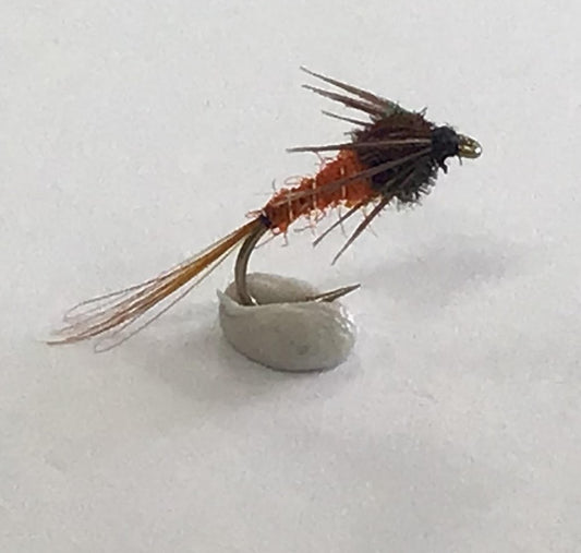 Carrot Nymph