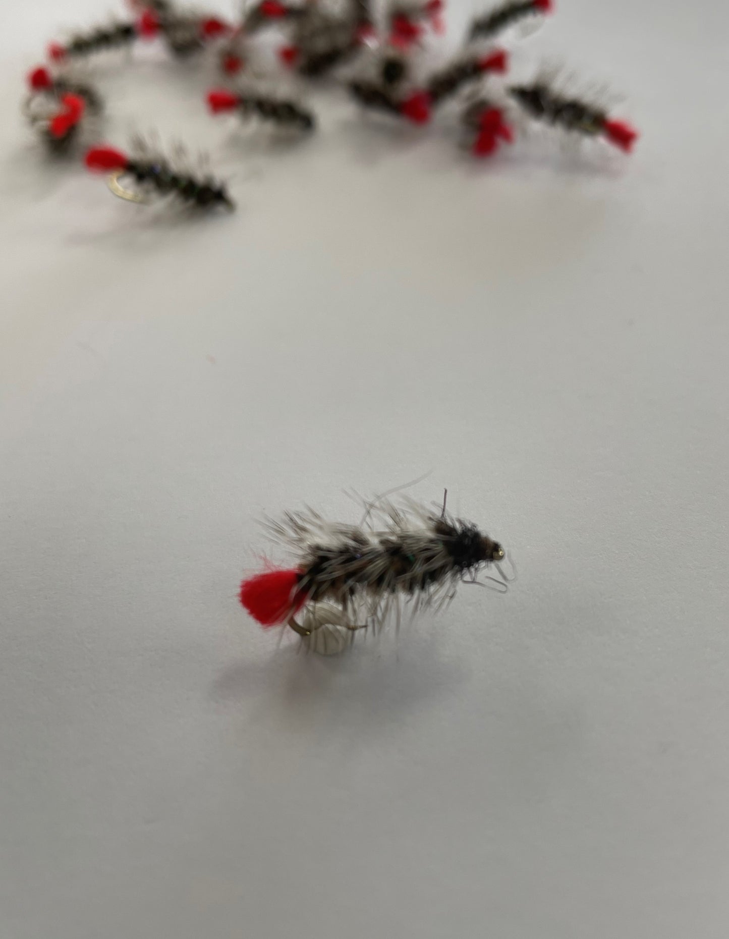 Wooley Worm #8