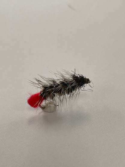Wooley Worm #8