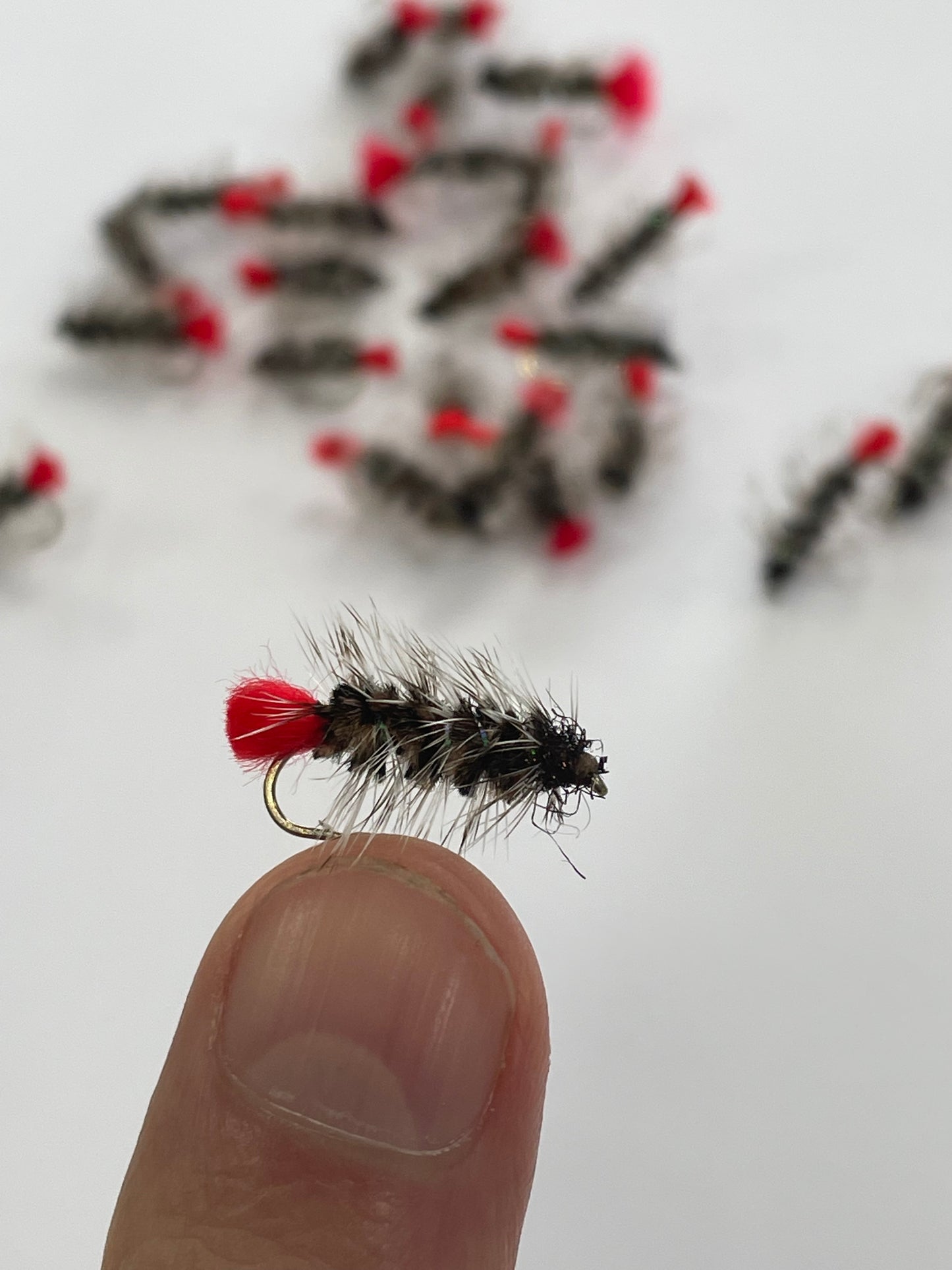 Wooley Worm #8
