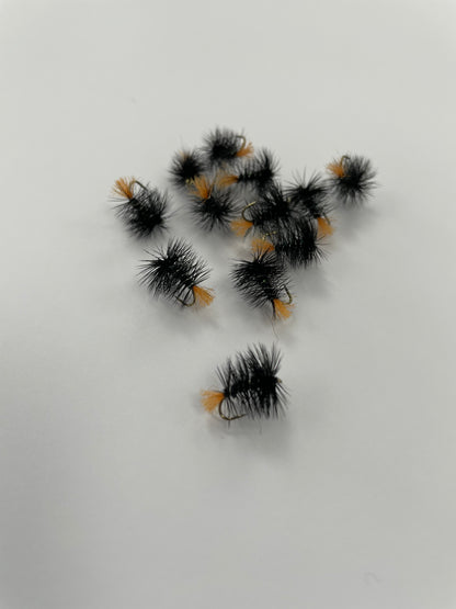Zulu - Black #14