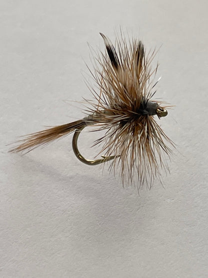 Adam's Dry Winged