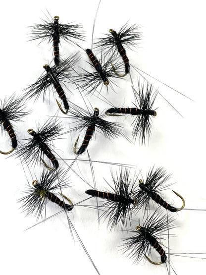 Black Spinner