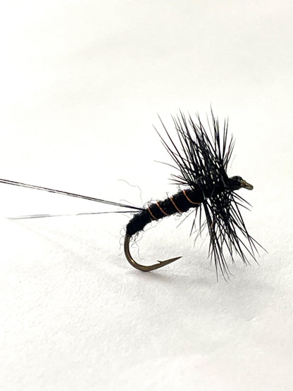 Black Spinner