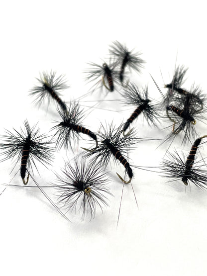 Black Spinner