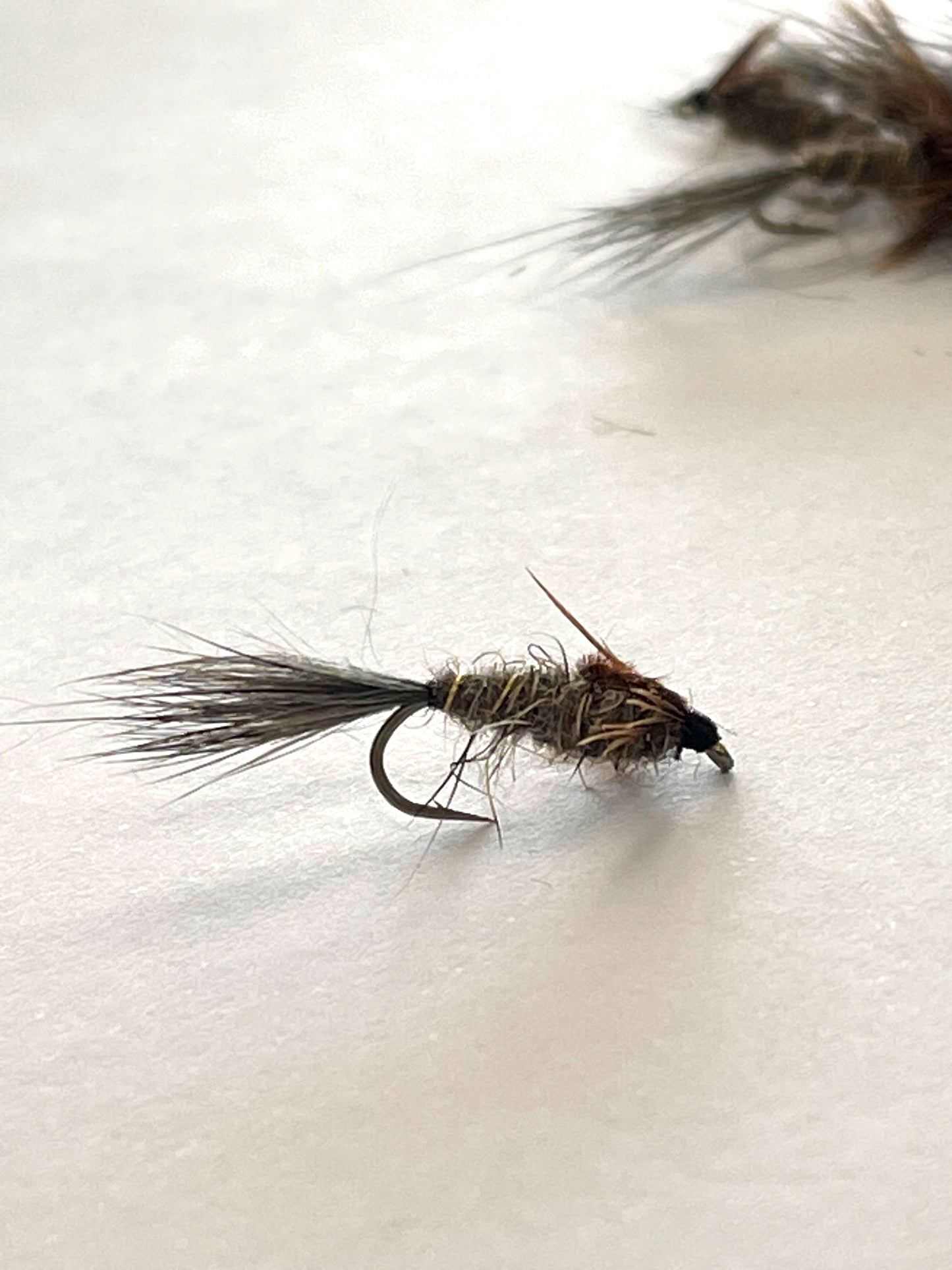 Hares Ear