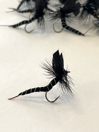 Mayfly - Black