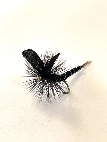 Mayfly - Black