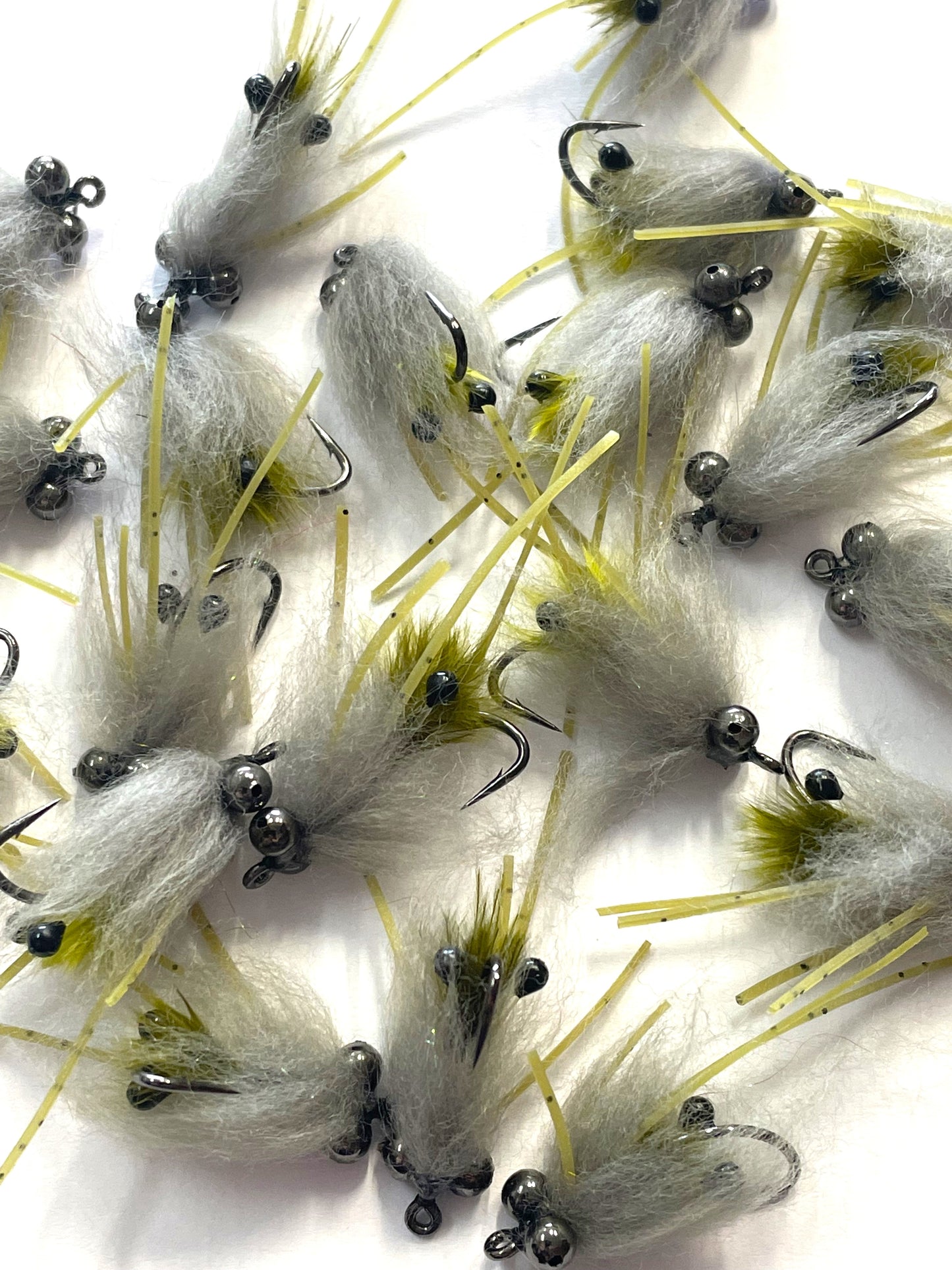 Freshwater Shrimp