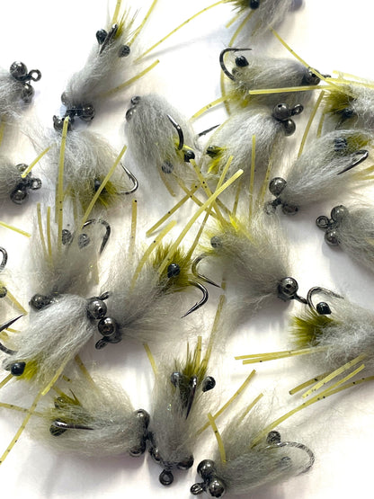 Freshwater Shrimp