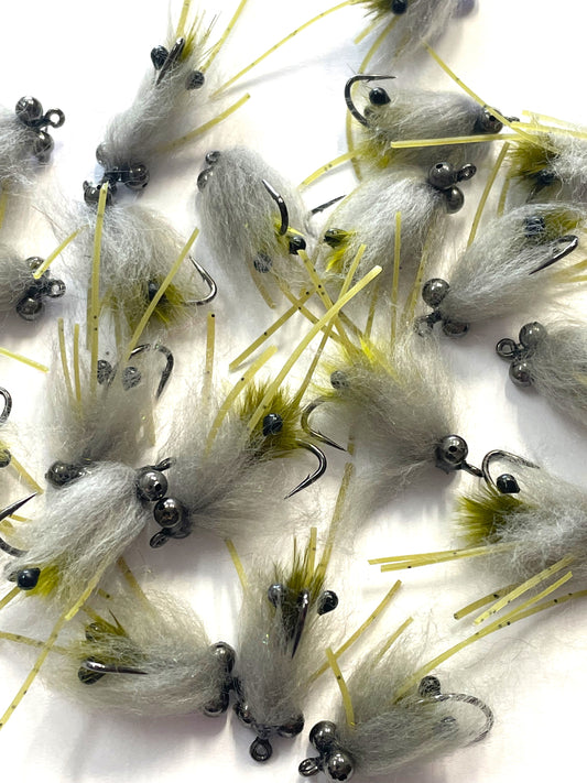 Freshwater Shrimp