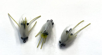 Freshwater Shrimp