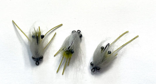 Freshwater Shrimp