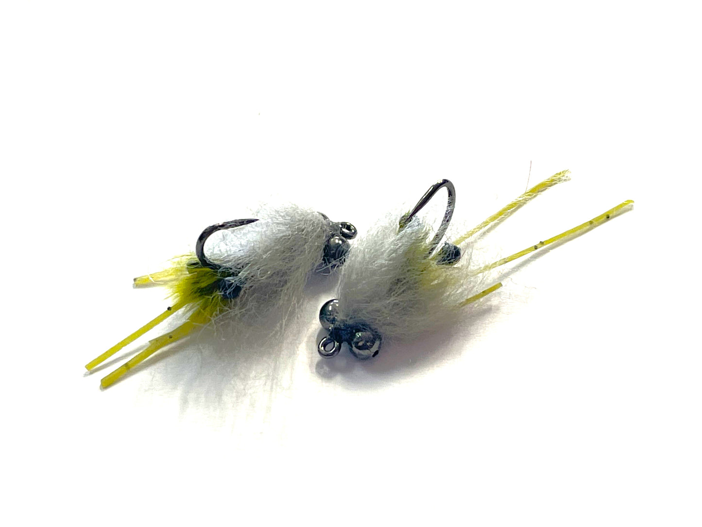 Freshwater Shrimp