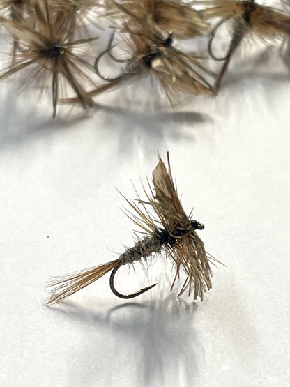 March Brown - Dry