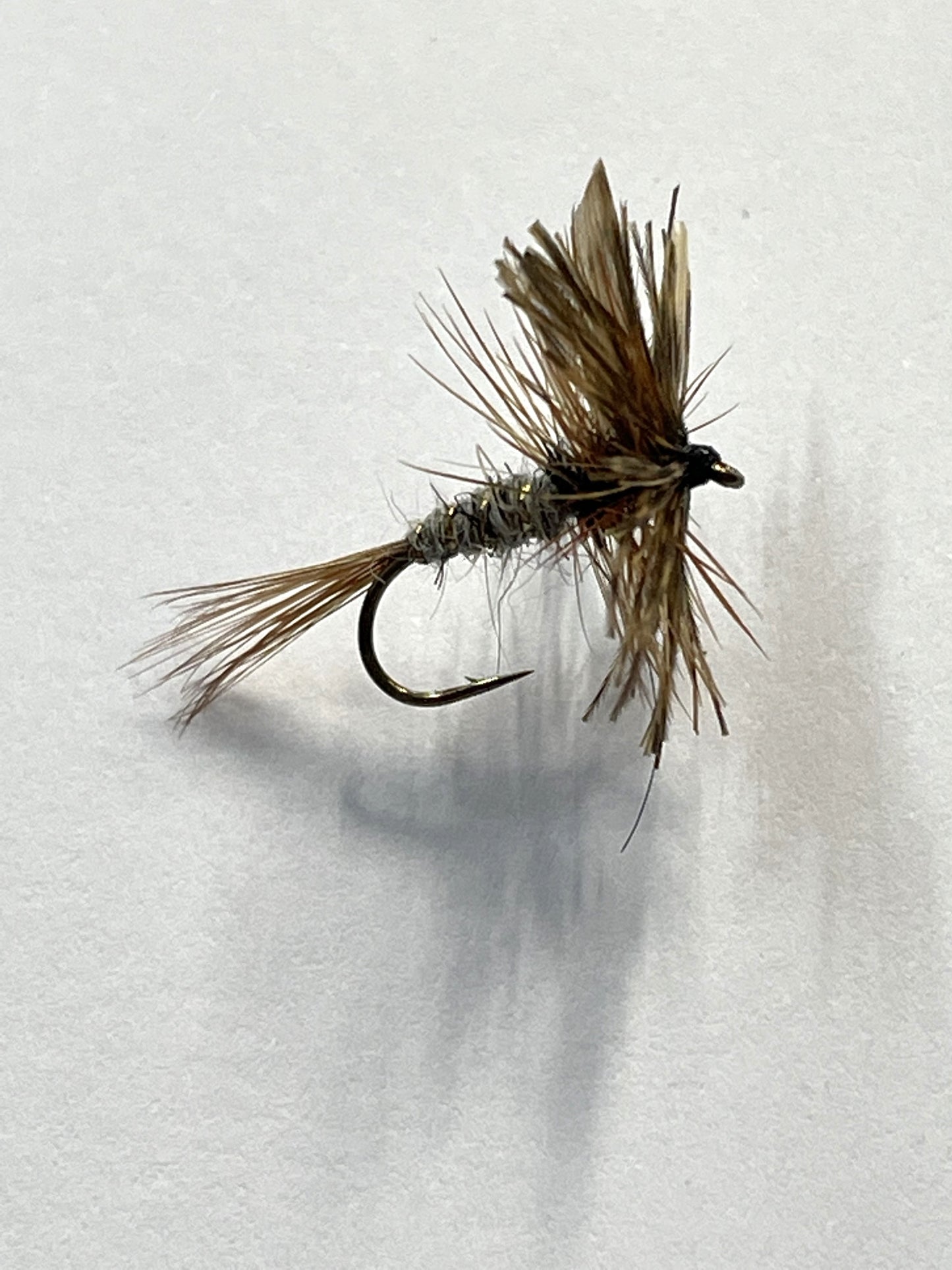 March Brown - Dry