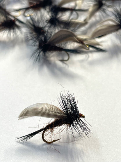 Tassie Dunn Emerger