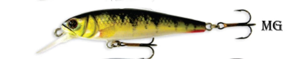 Goldy Goldfish Minnow - MG