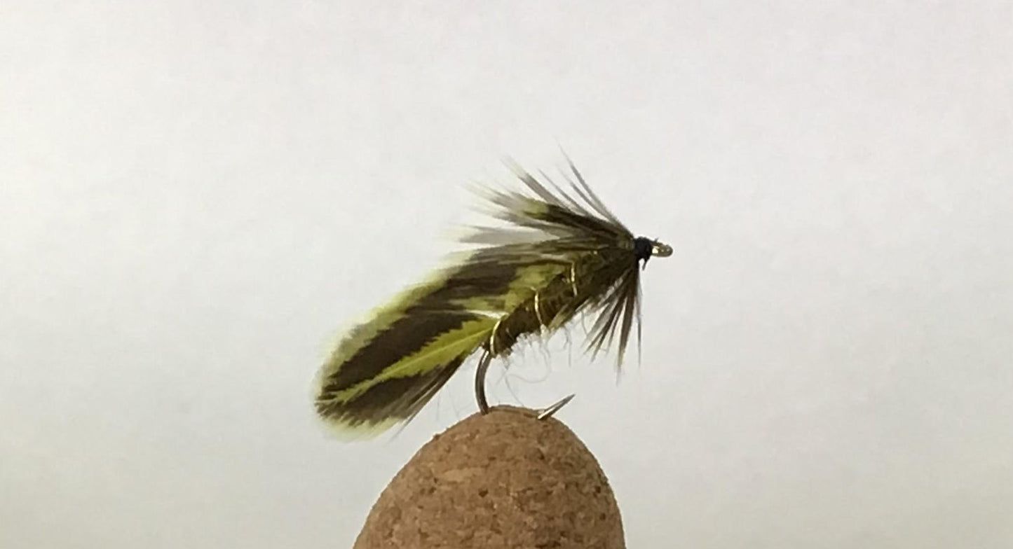 Matuka - Olive