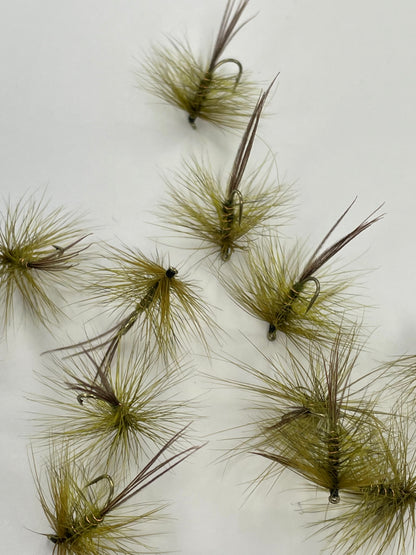 Dabbler - Olive #12