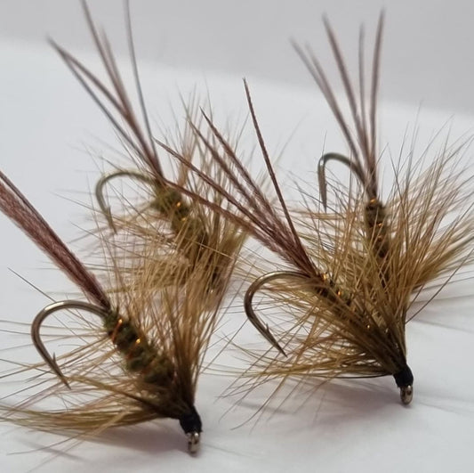 Dabbler - Olive #12
