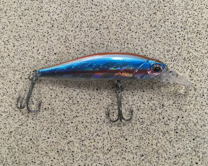 SP63 Suspending Minnow - RBW