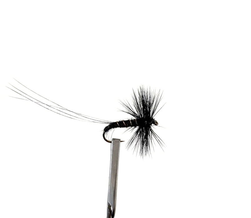 Black Spinner