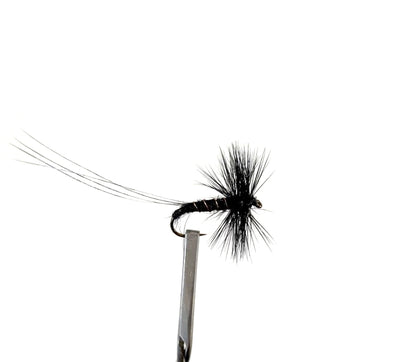 Black Spinner