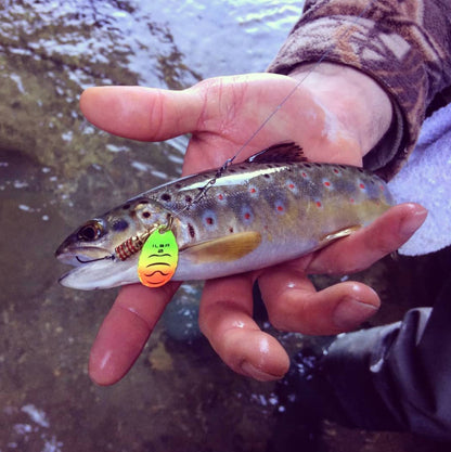 Ilba Tondo Spinner - Fire Tiger Size #2