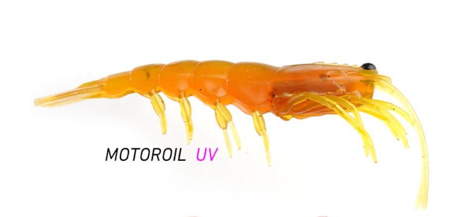 Pro Lure Clone Prawn 62mm - Motoroil