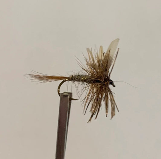 March Brown - Dry
