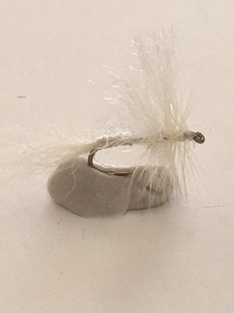 White Moth