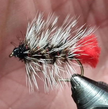 Wooley Worm #8