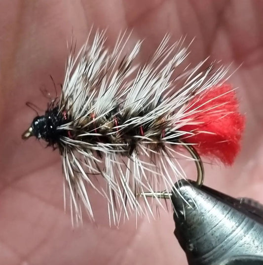 Wooley Worm #8