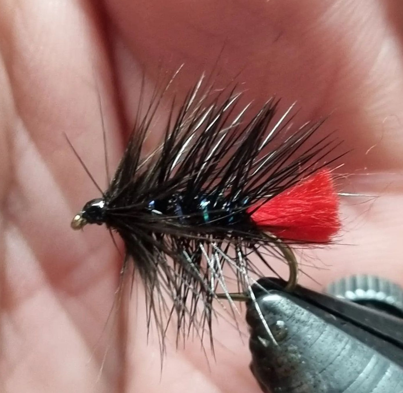 Zulu - Black #12