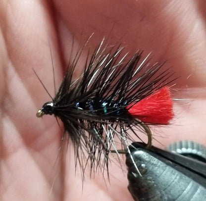 Zulu - Black #12